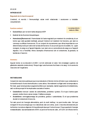 Apunts-endocrino.pdf