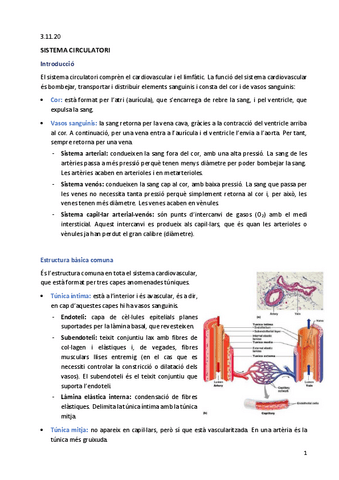 Apunts-histologia.pdf