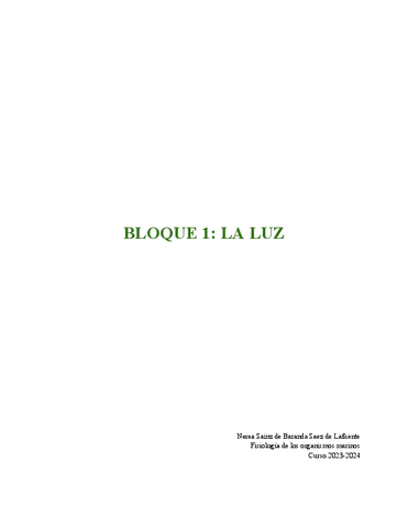 BLOQUE-1-LA-LUZ.pdf