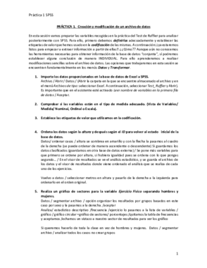 PRÁCTICA 1. SPSS.pdf