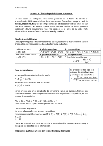 PRÁCTICA 3 SPSS buena .pdf
