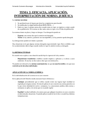 TEMA 2 - LA EFICACIA- APLICACIÓN E INTERPRETACIÓN DE LA NORMA JURÍDICA.pdf