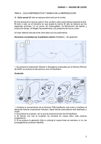 Tema-2-Ciclo-productivo-y-manejo.pdf