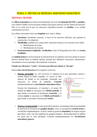 TEMA-3.pdf