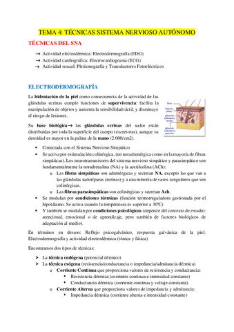 TEMA-4.pdf