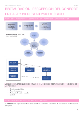 Tema6.Restauracion-percepcion-del-confort-en-sala.pdf