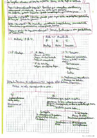 Primeros-auxilios.pdf