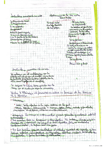 Primeros-auxilios.pdf