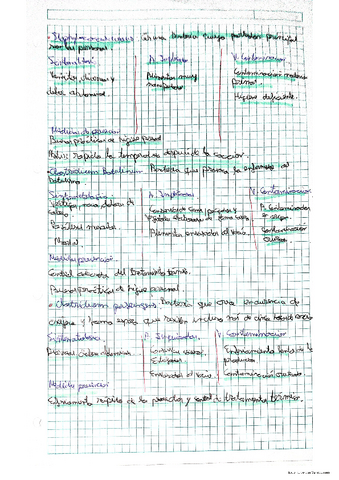 .Agentes-quimicos-fisicos-y-biologicos..pdf