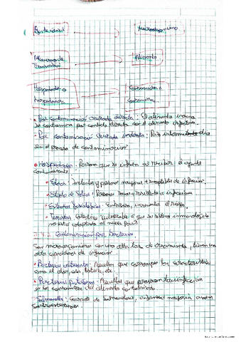 Agentes-quimicos-fisicos-y-biologicos..pdf