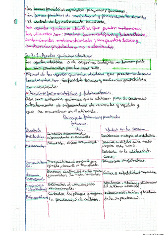 Agentes-quimicos-fisicos-y-biologicos..pdf