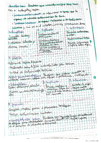 .Agentes-quimicos-fisicos-y-biologicos..pdf