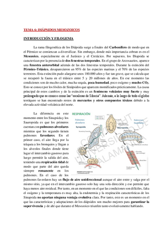 AP-FAUNA-TEMA-6-WH.pdf