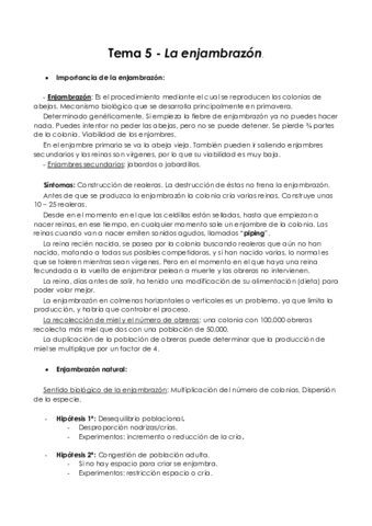Tema 5 - Enjambrazón.pdf