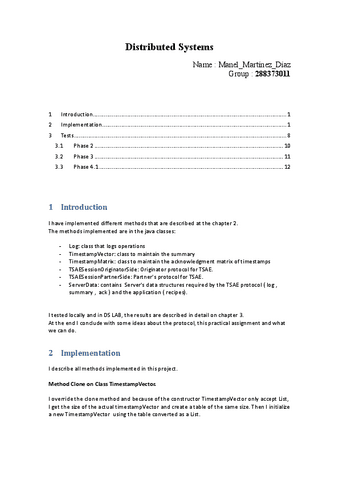 Reportphase-2-3-4.pdf