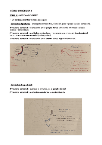 TEMA-12-y-13-MEDICO-QUIRURGICA-II.pdf