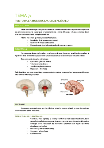 TEMAS-7-Y-8-NEUROCIENCIAS.pdf