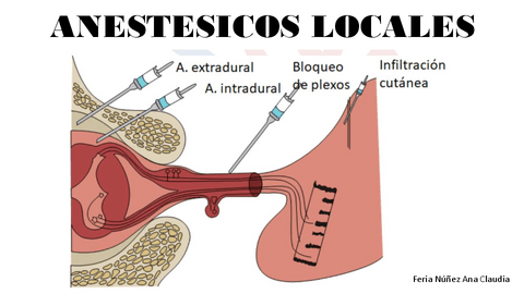 Anestesicos locales.pdf