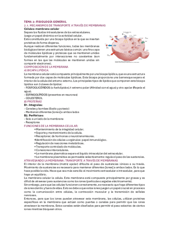 TEMA-2.-FISIOLOGIA.pdf