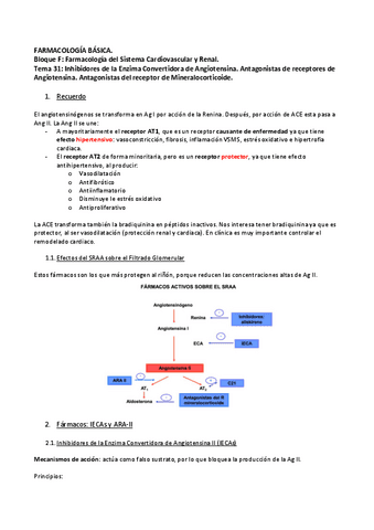 Tema-31-IECAs-y-ARAII.pdf