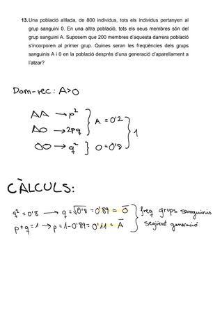 Entrega-1-Problemes.pdf