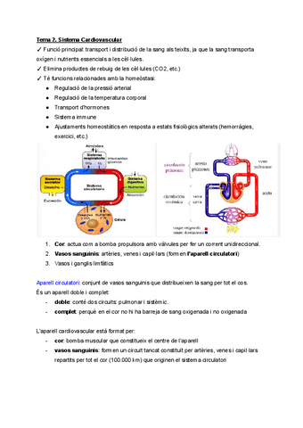 Tema-2.-Sistema-Cardiovascular.pdf