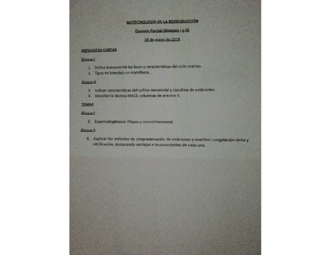 parcial BREP.pdf