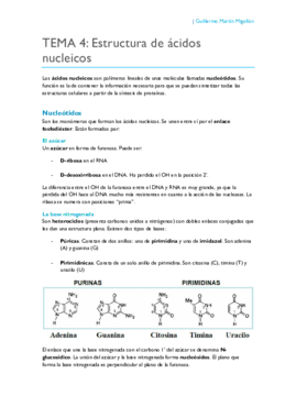 TEMA 4. Estructura de ácidos nucleicos.pdf