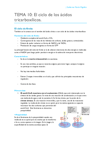 TEMA 10. Ciclo de los ácidos tricarboxílicos.pdf