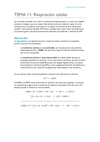 TEMA 11. Respiración celular.pdf