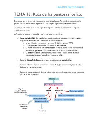 TEMA 13. Ruta de las pentosas fosfato.pdf