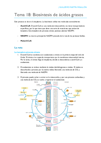 TEMA 18. Biosíntesis de ácidos grasos.pdf