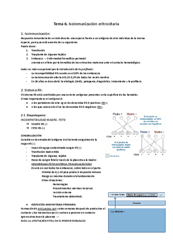 Tema-6.-Isoinmunizacion-eritrocitaria.pdf