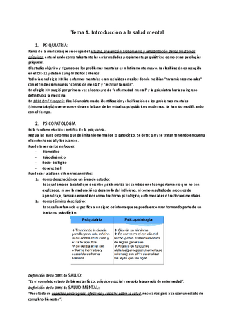 Tema-1.-Introduccion-a-la-salud-mental.pdf