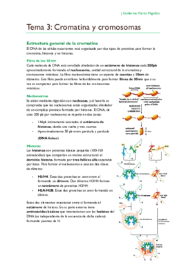 TEMA 3. Cromatina y cromosomas.pdf