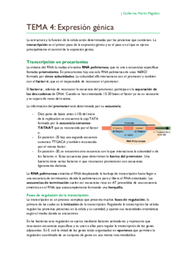 TEMA 4. Expresión génica.pdf