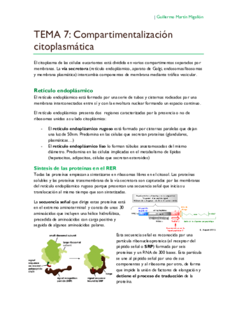 TEMA 7. Compartimentalización citoplasmática.pdf