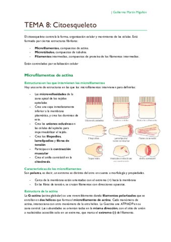 TEMA 8. Citoesqueleto.pdf