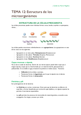 TEMA 12. Estructura de los microorganismos.pdf