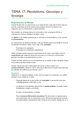 TEMA 17. Mendelismo. Genotipo y fenotipo.pdf