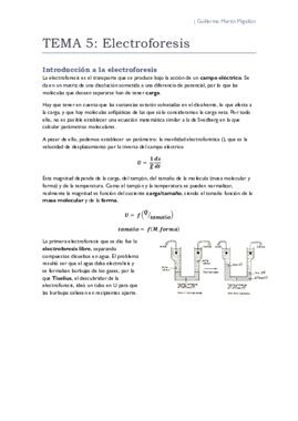 TEMA 5. Electroforesis.pdf
