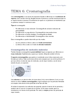 TEMA 6. Cromatografía.pdf