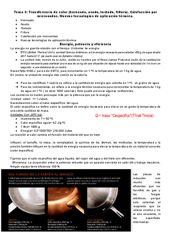 Tema-3-Fundamentos.pdf