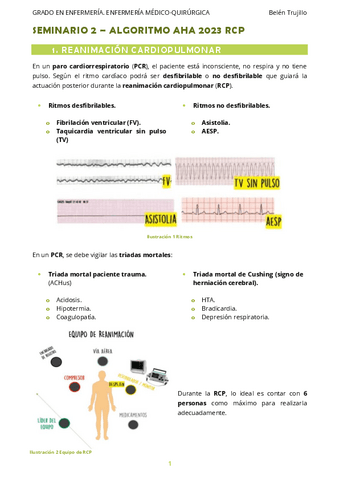 MQ2-Seminario2-RCP.pdf