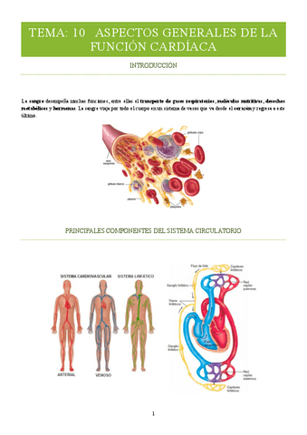 TEMA-10-ASPECTOS-GENERALES-DE-LA-FUNCION-CARDIACA.pdf