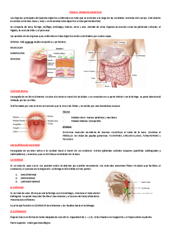 EXAMEN-TBE-T9-Y-T11-DIGESTIVO-Y-URINARIO.pdf