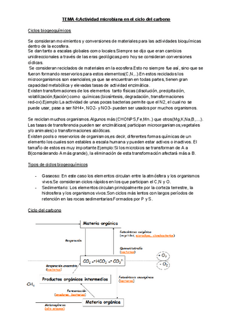 TEMA-4-MBA.pdf
