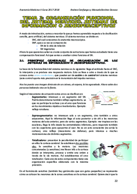 Tema 3.pdf