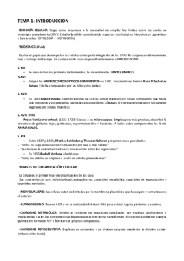 tema 1 y 2.pdf