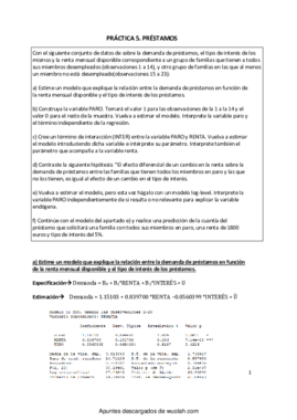 Práctica 5- préstamos.pdf
